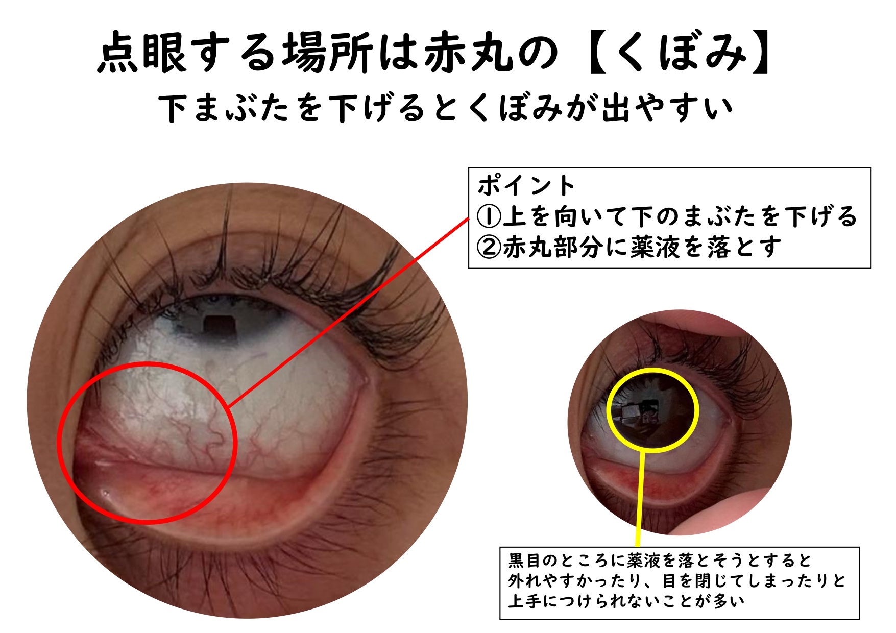 すずき先生より VOL159