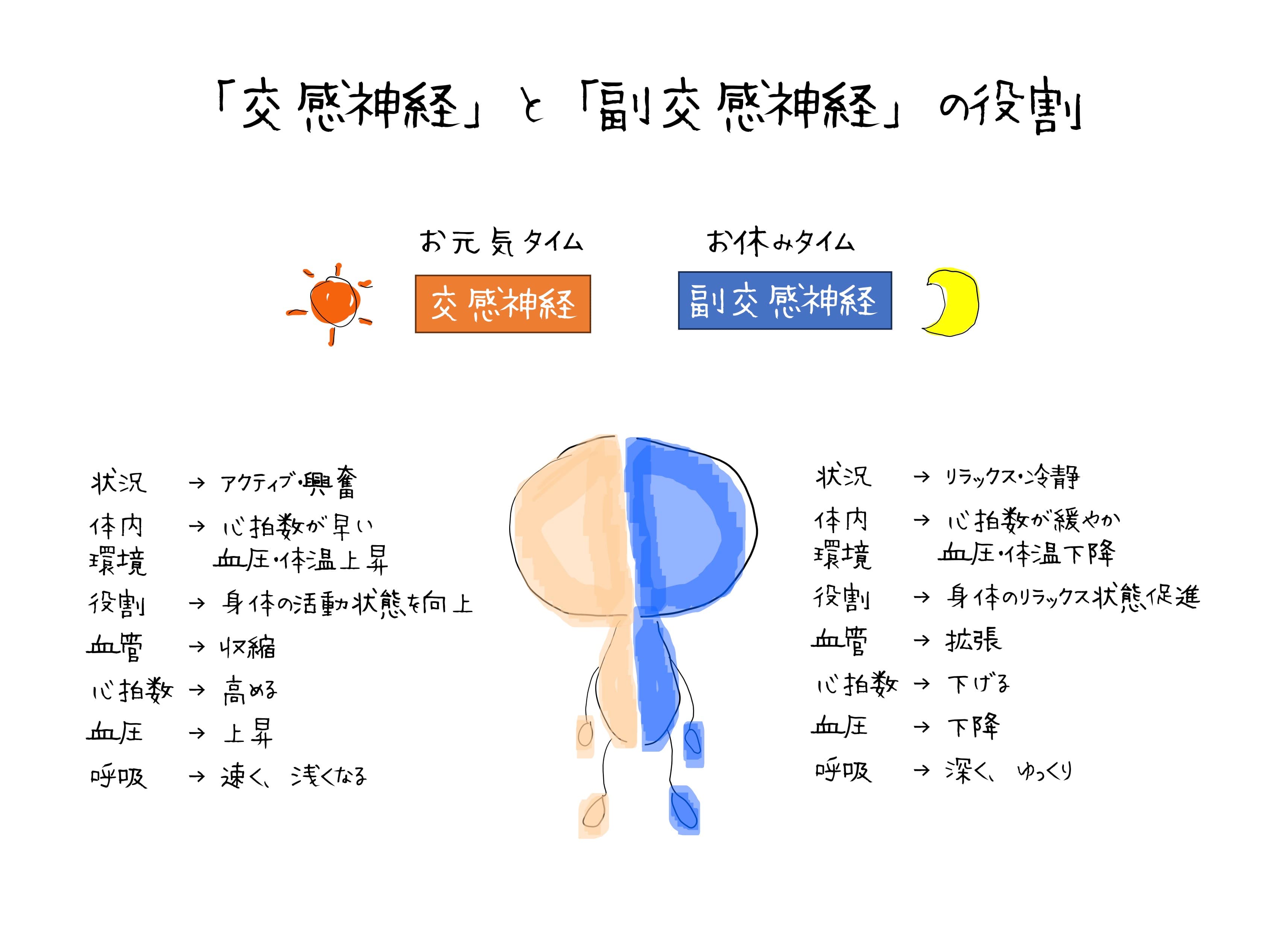 すずき先生より VOL161