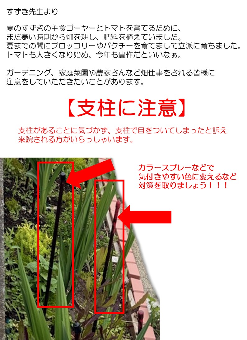 すずき先生より VOL151