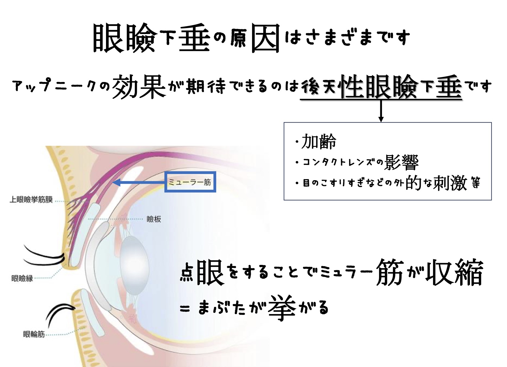 すずき先生より VOL162