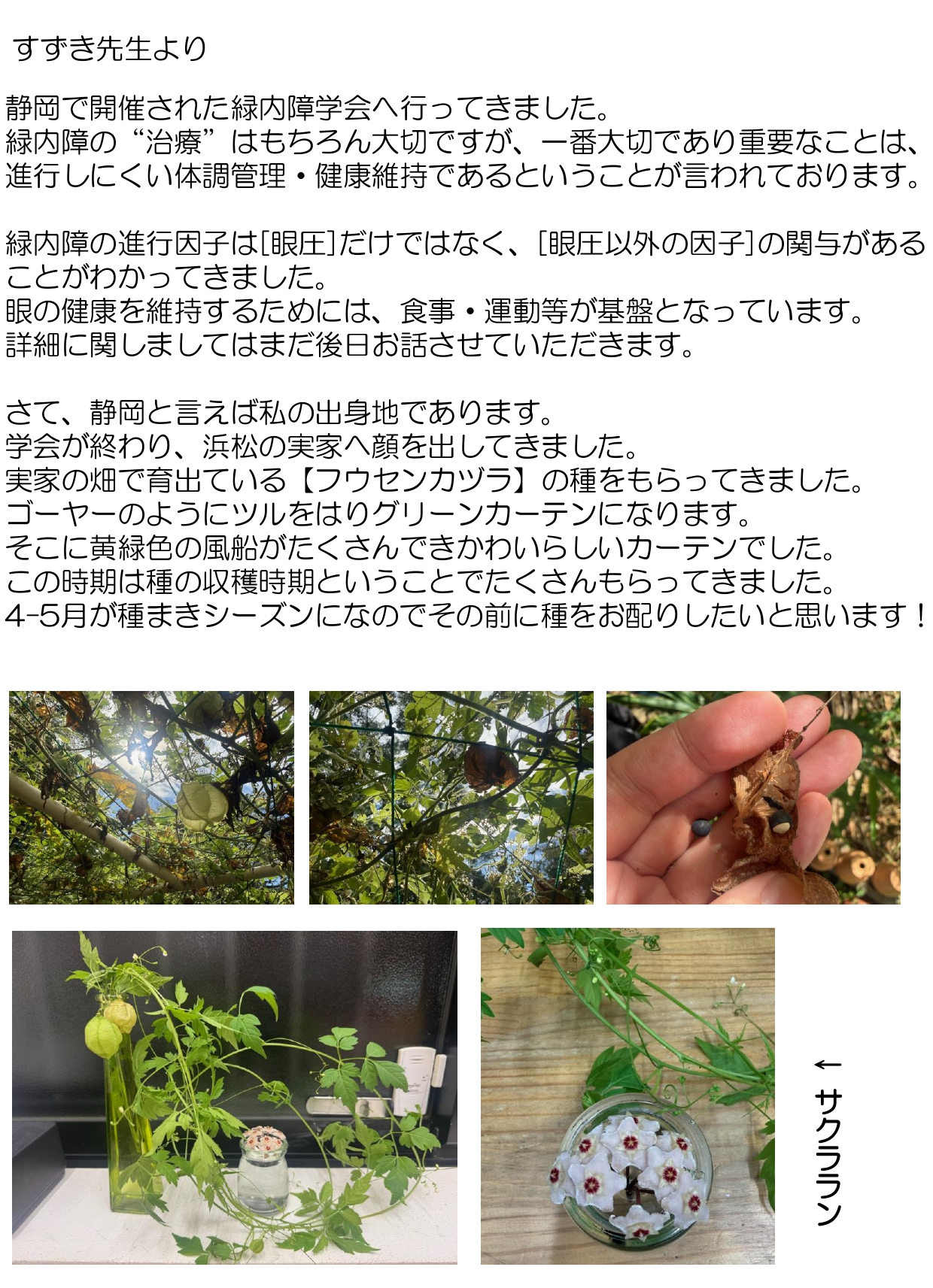 すずき先生より VOL164